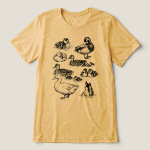 Camiseta Triblenda Boceto de patito lindo pato Mallard vintage