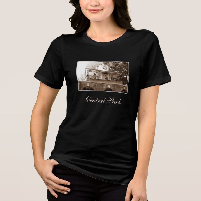 Camiseta Triblenda Camiseta para damas de Central Park (Anverso)