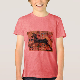 Camiseta Triblenda Carrusal