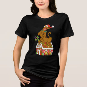 Camiseta Triblenda Casa Scooby and Gingerbread
