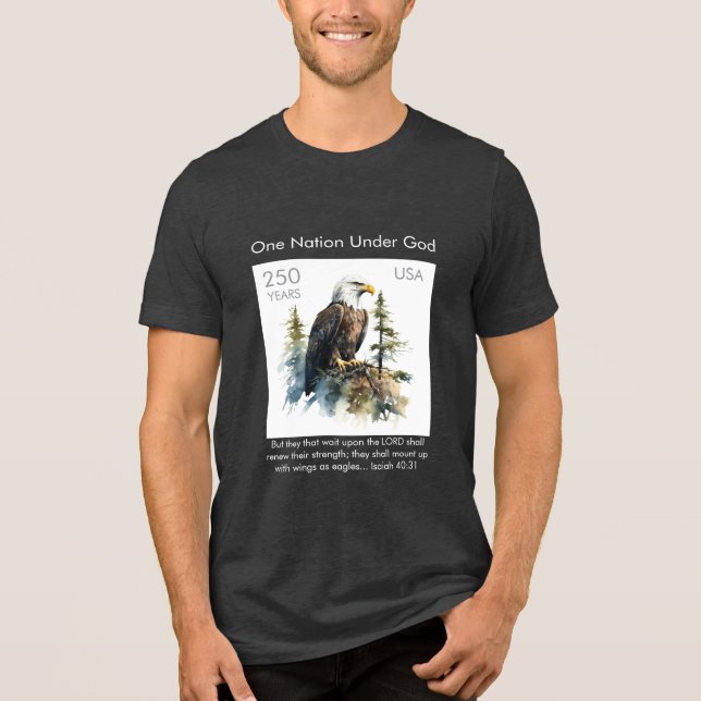 Camiseta Triblenda Celebrate America 250 #75 (Anverso)