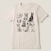 Colección de razas de perros vintage Cachorro Boce