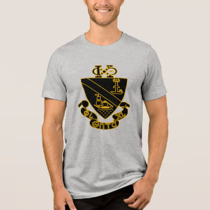 Camiseta Triblenda Crest de Phi Chi Theta Oro y Negro