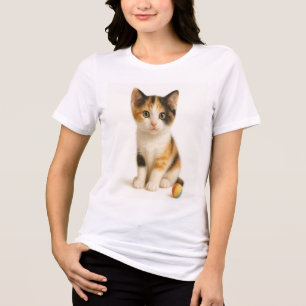 Camiseta Triblenda Curiosidad de Calico - Gatito con bola pop de colo