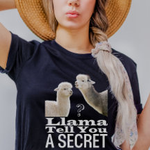 Cute Llama Funny Pun Chiste memes negro