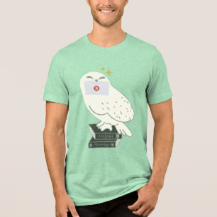 Camiseta Triblenda Dibujo caprichoso de Hedwig con carta
