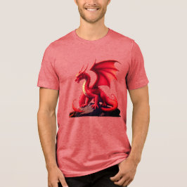 CAMISETA TRIBLENDA DRAGON