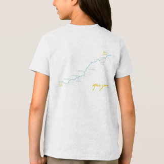 CAMISETA TRIBLENDA F