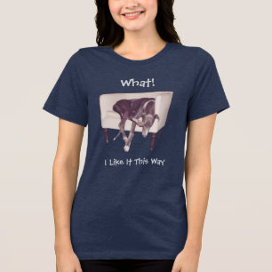 Camiseta Triblenda Galgo Durmiendo En Silla Lindo