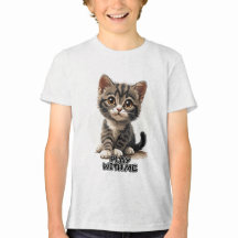 Gatito que derrite el corazón