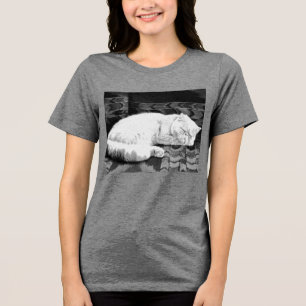 Camiseta Triblenda Gato persa blanco durmiendo
