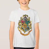 Harry Potter| Cojín de Hogwares - Color completo