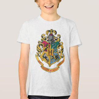 Camiseta Triblenda Harry Potter| Cojín de Hogwares - Color completo
