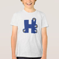 Hilbert College H