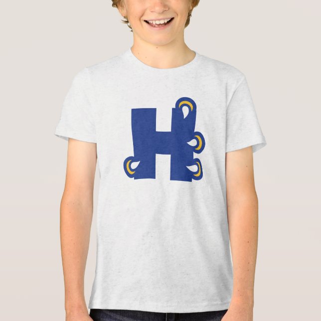 Camiseta Triblenda Hilbert College H (Anverso)