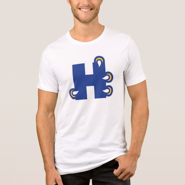 Camiseta Triblenda Hilbert College H (Anverso)