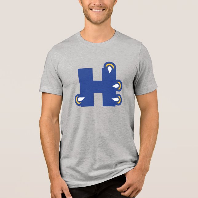 Camiseta Triblenda Hilbert College H (Anverso)