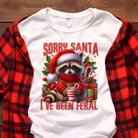 Lo siento Santa I ha sido Navidades de Raccoon Fer