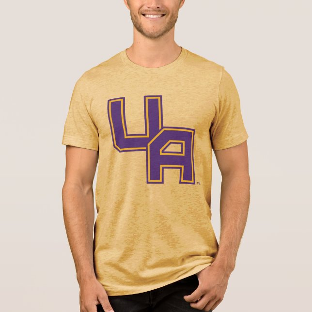 Camiseta Triblenda Logo de la Universidad de Albany (Anverso)