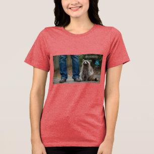 Camiseta Triblenda Mapache Borracho 