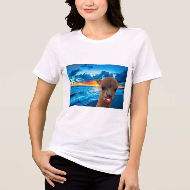 Camiseta Triblenda mujeres de tres mezclas de bellezas (Anverso)