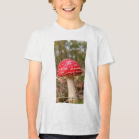 Mushroom 11