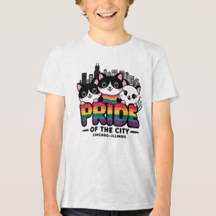 Camiseta Triblenda Orgullo de Chicago City Illinois Bandera Arcoiris 