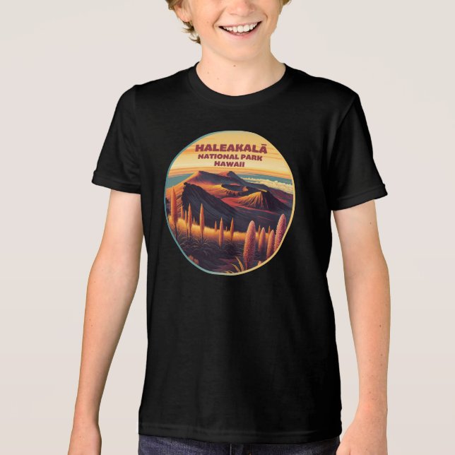 Camiseta Triblenda Parque nacional Haleakala Hawaii (Anverso)