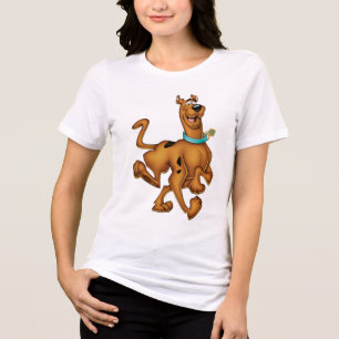 Camiseta Triblenda Paseo feliz de Scooby-Doo