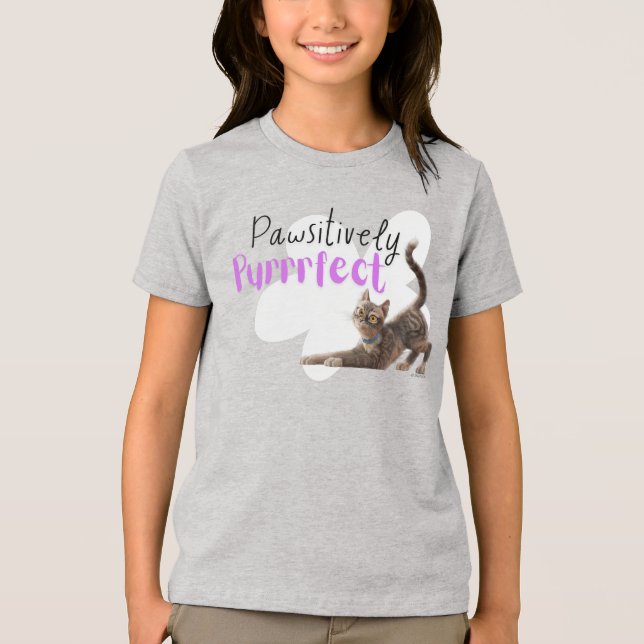 Camiseta Triblenda Perfecto de forma positiva (Anverso)