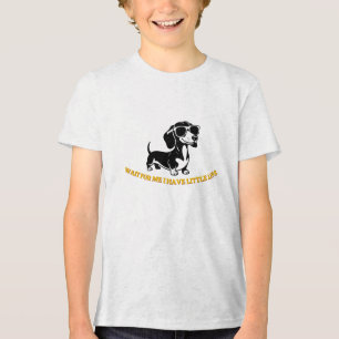 Camiseta Triblenda Perrito Vienés Lindo con Gafas de Sol PNG – Mascot