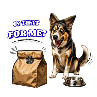 Camiseta Triblenda Perro Divertido y Emocionado Esperando Comida – ¿E