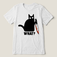 Qué meme de gato negro con cuchillo