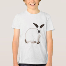 Rabbit T-Shirt californiano