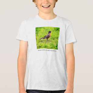Camiseta Triblenda Robin estadounidense (Turdus migratorius)