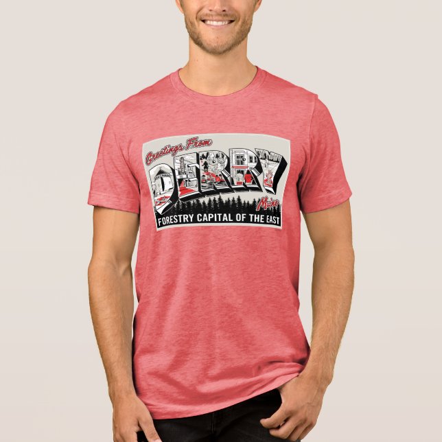 Camiseta Triblenda Saludo De Derry Maine (Anverso)