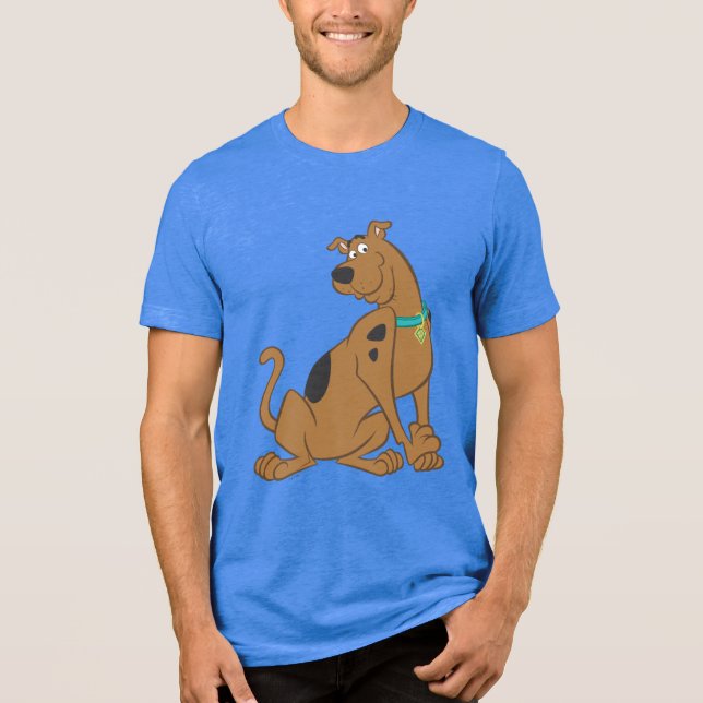 Camiseta Triblenda Scooby-Doo Bashful Pose (Anverso)