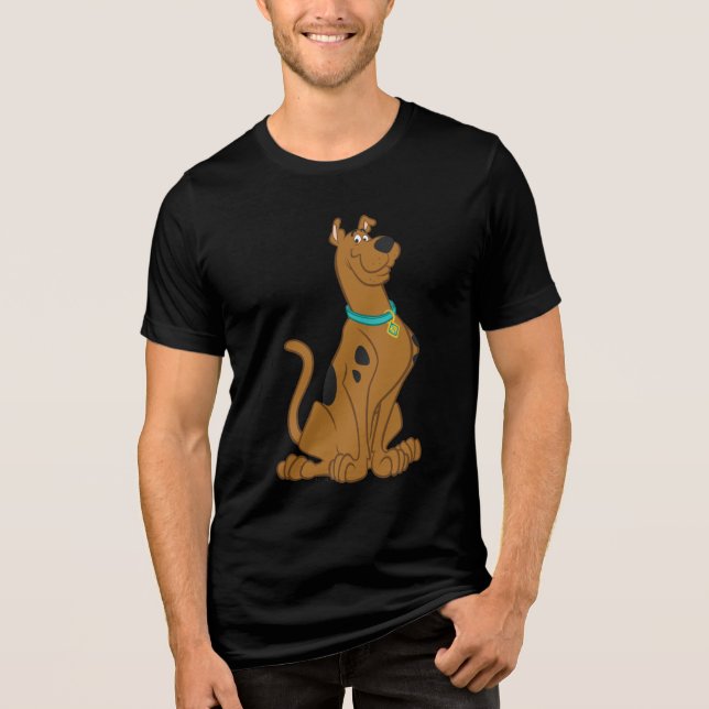 Camiseta Triblenda Scooby-Doo Cuter Thate (Anverso)