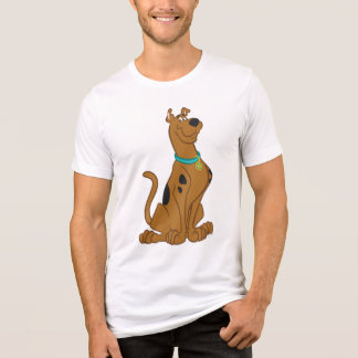 Camiseta Triblenda Scooby-Doo Cuter Thate