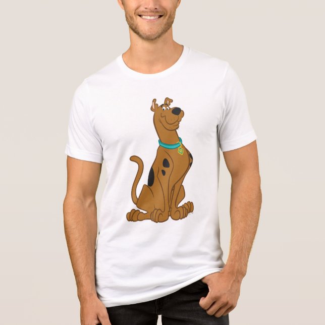 Camiseta Triblenda Scooby-Doo Cuter Thate (Anverso)