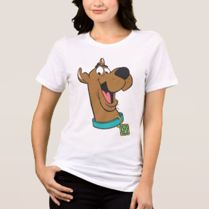 Camiseta Triblenda Scooby-Doo Happy Face