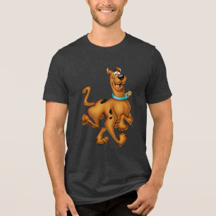 Camiseta Triblenda Scooby-Doo Happy Walk