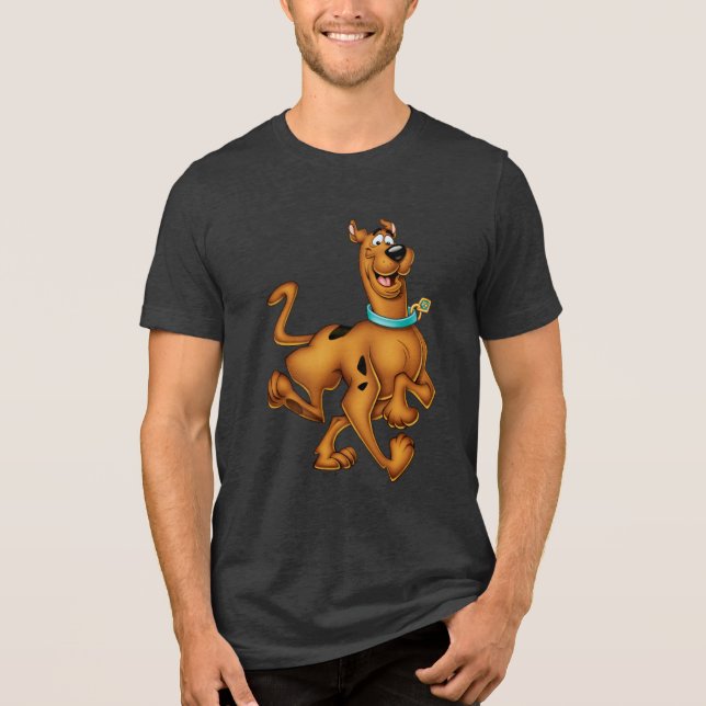 Camiseta Triblenda Scooby-Doo Happy Walk (Anverso)