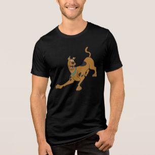 Camiseta Triblenda Scooby-Doo Listo Para Jugar