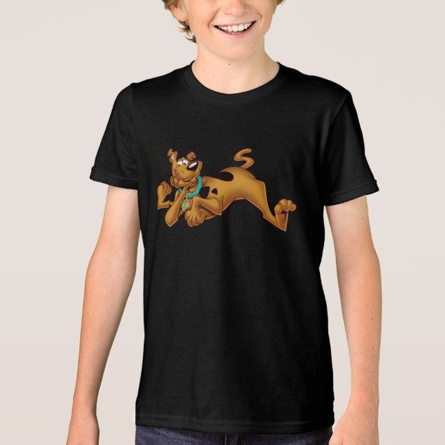 Camiseta Triblenda Scooby-Doo mintiendo (Anverso)