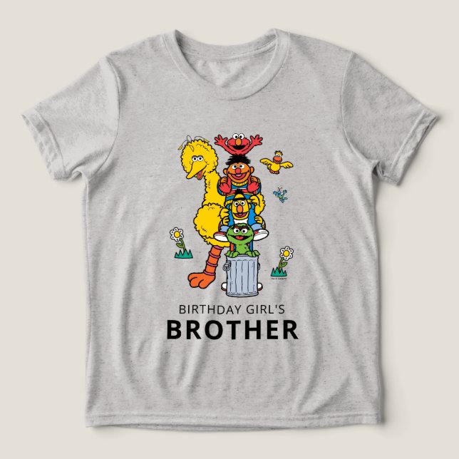 Camiseta Triblenda Sesame Street Characters & Street Sign Birthday Tr (Diseño delantero )