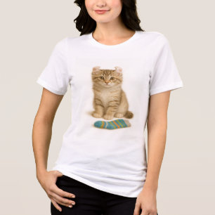 Camiseta Triblenda Sock it to Me - American Curl Kitten Edition