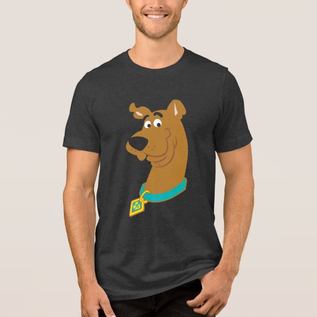 Camiseta Triblenda Sonrisa Scooby-Doo (Anverso)