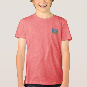 CAMISETA TRIBLENDA T SHIRT BOY'S