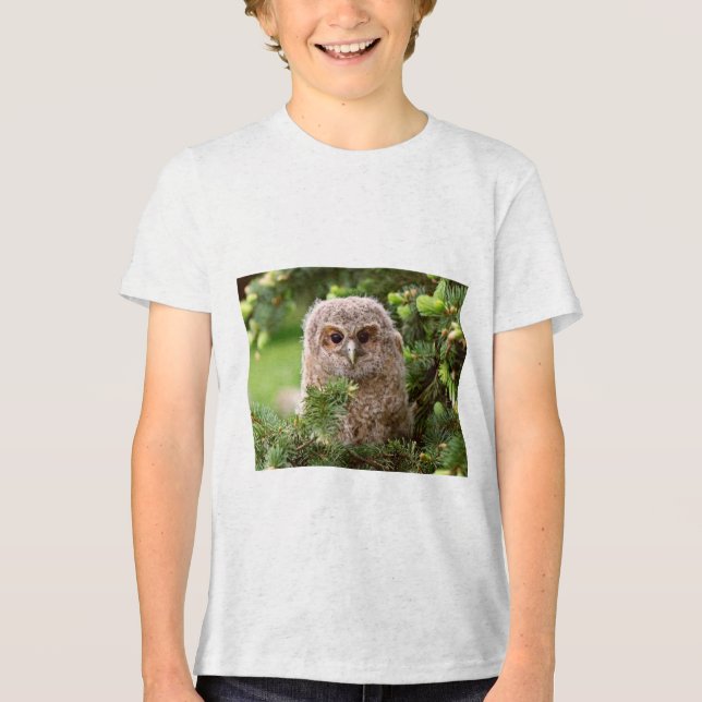 Camiseta Triblenda Tipos de búho 11 (Anverso)